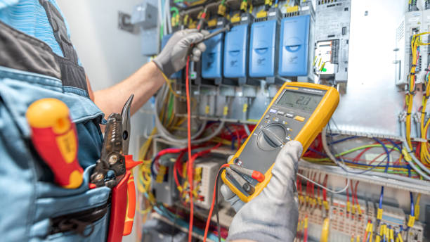 Best Electric Panel Repair  in Orangeburg, SC
